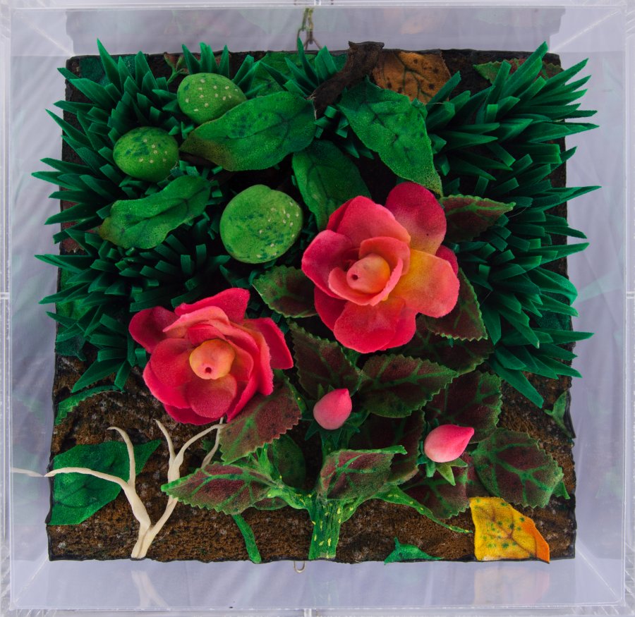 piero gilardi: Rose e noci - autentica dell'artista su foto